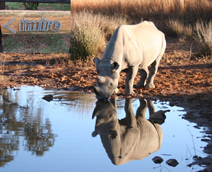 Imire Game Park