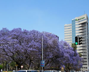 Harare City Tour