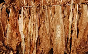 Firewood vendors fined by EMA officers in Diza village, ward 5 Firewood vendors fined by EMA officers in Diza village, ward 5